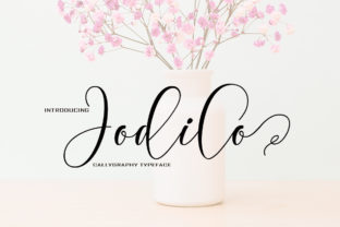 Jodilo: A Playful Script Font for Web Design