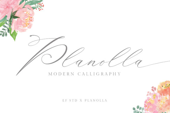 Planolla: The Elegant Script Font for Your Brand